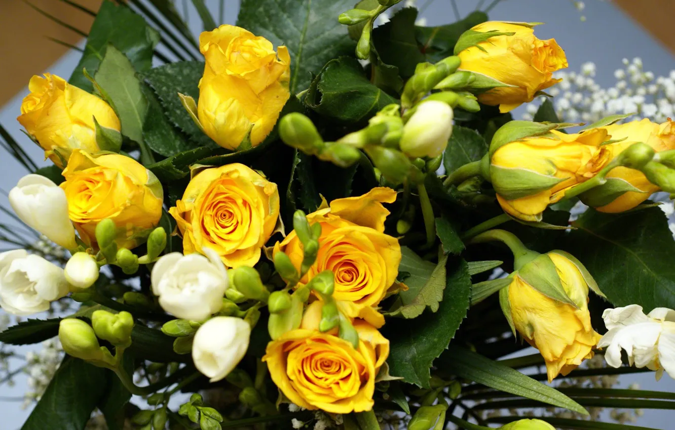 Photo wallpaper flower, flowers, nature, roses, bouquet, yellow, yellow