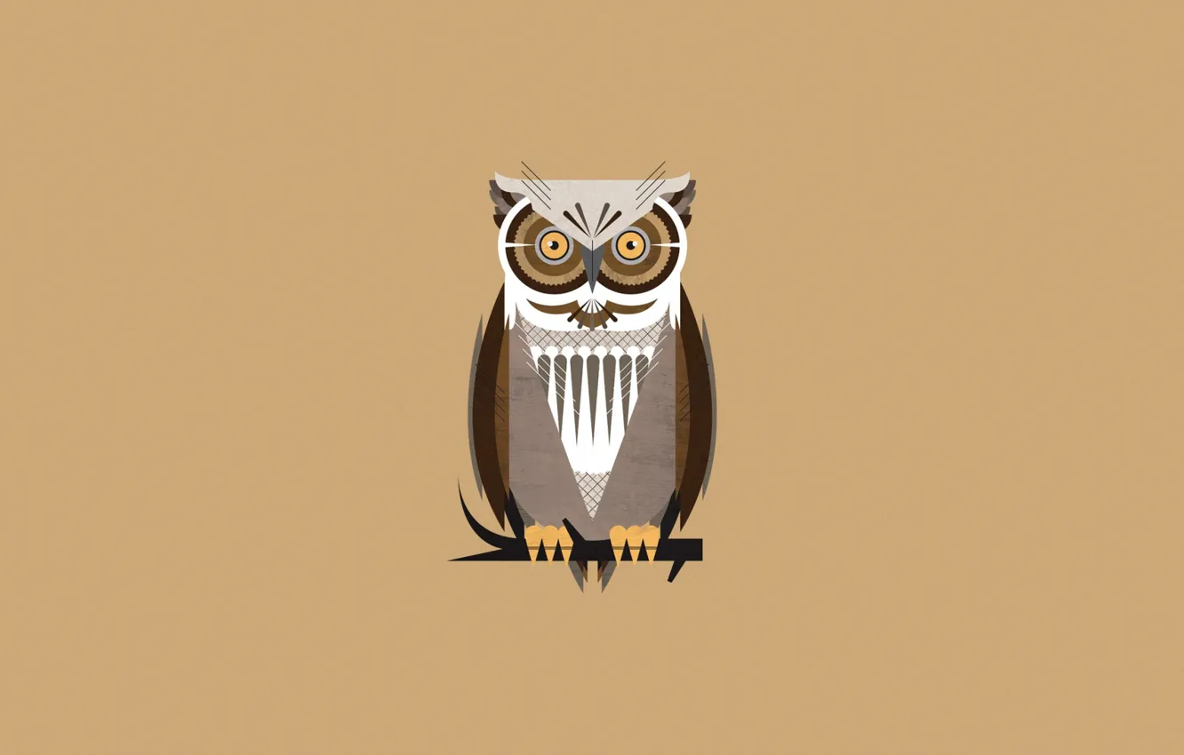 Photo wallpaper animal, owl, bird
