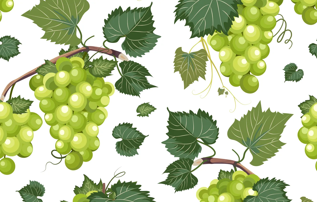 Photo wallpaper background, grapes, vine