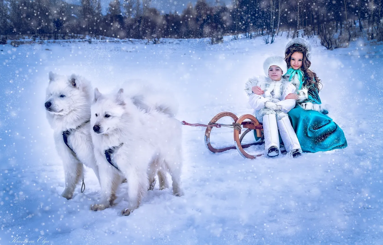 Photo wallpaper winter, dogs, snow, children, boy, girl, sleigh, lady