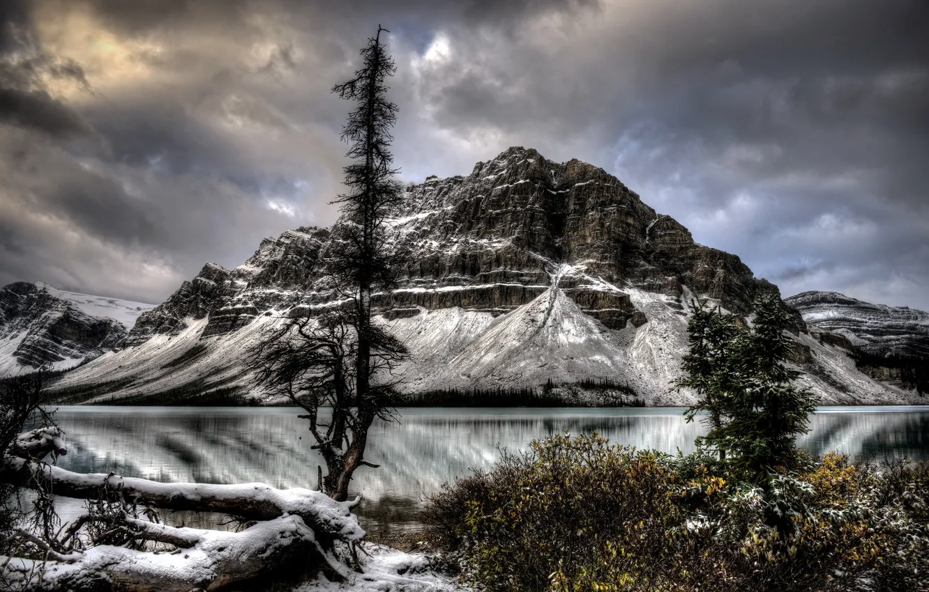 Photo wallpaper trees, landscape, mountains, lake