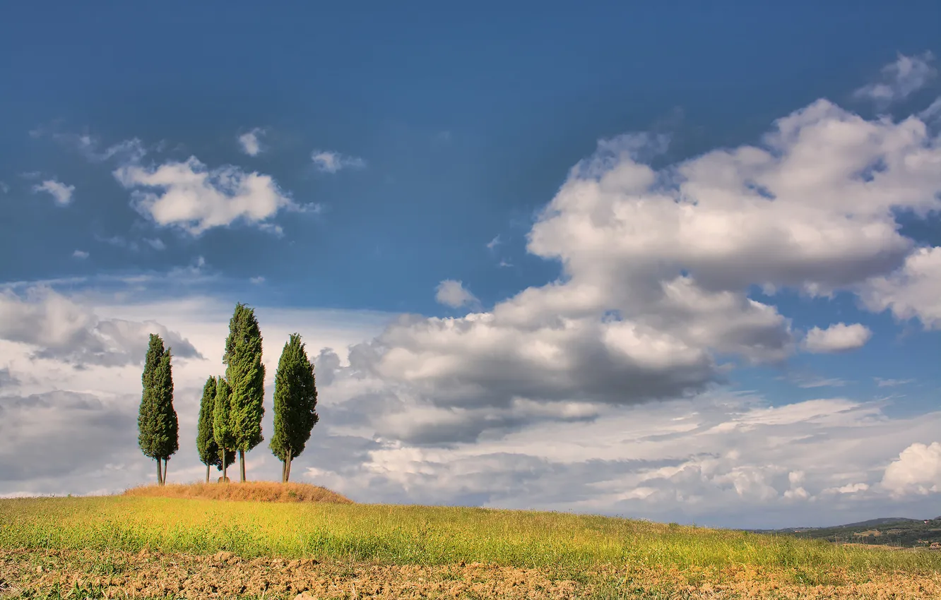 Photo wallpaper field, autumn, the sky, clouds, trees, hills