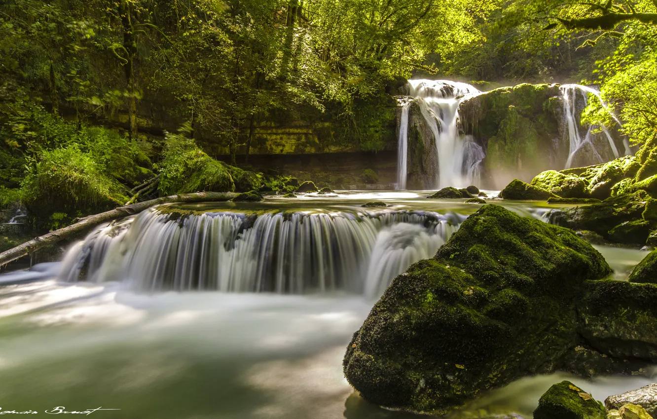 Photo wallpaper forest, trees, stones, France, waterfall, moss, cascade, Franche-Comte