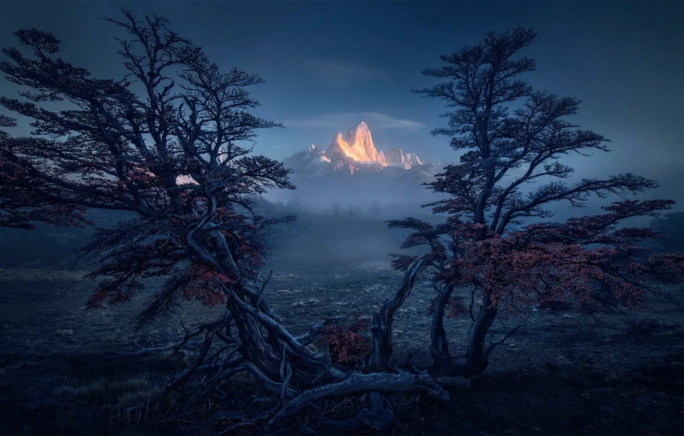 Photo wallpaper South America, mountains, Patagonia, trees
