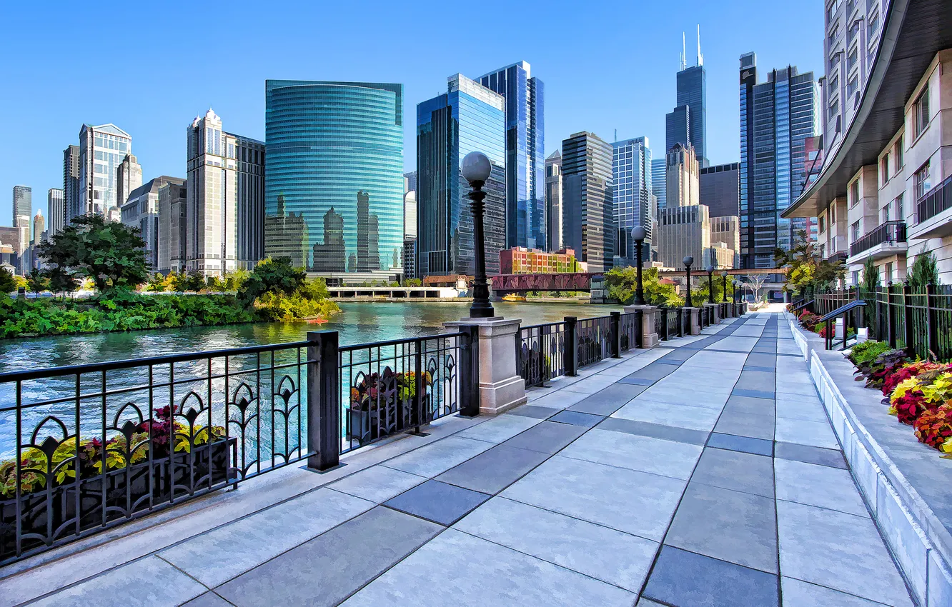 Photo wallpaper the sky, flowers, home, skyscrapers, Chicago, lights, USA, promenade
