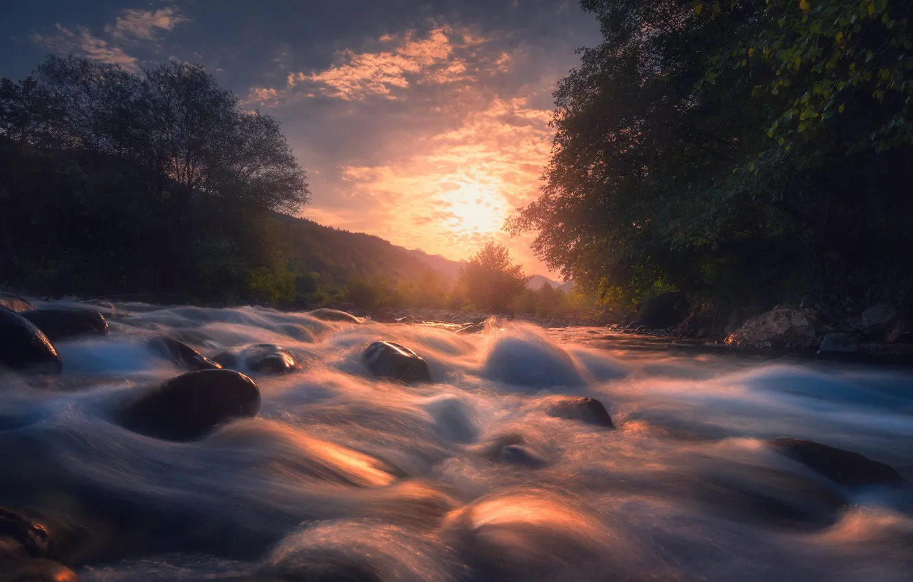 Photo wallpaper forest, the sun, trees, sunset, mountains, river, stones, shore