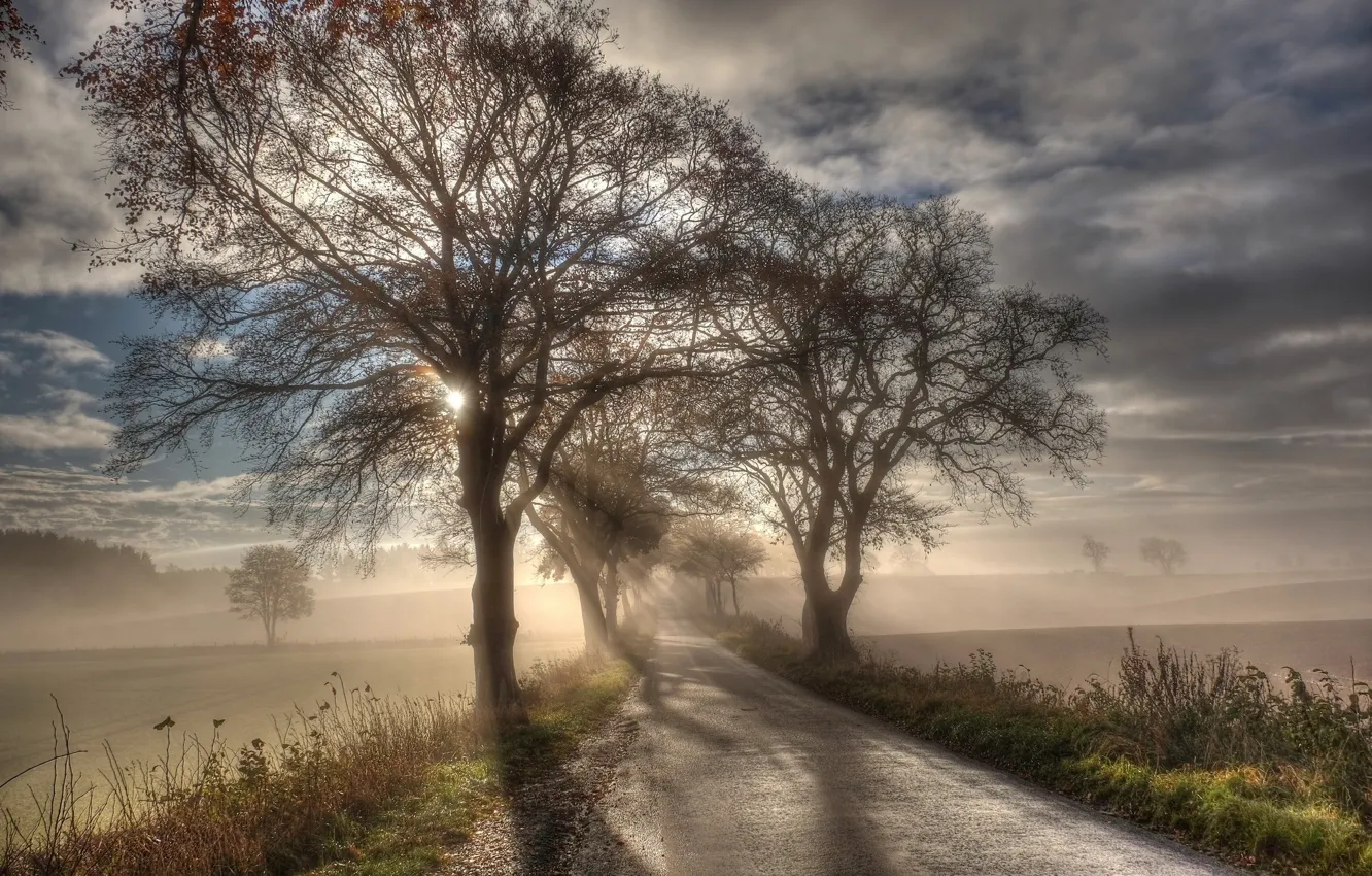 Photo wallpaper Road, Fog, Morning