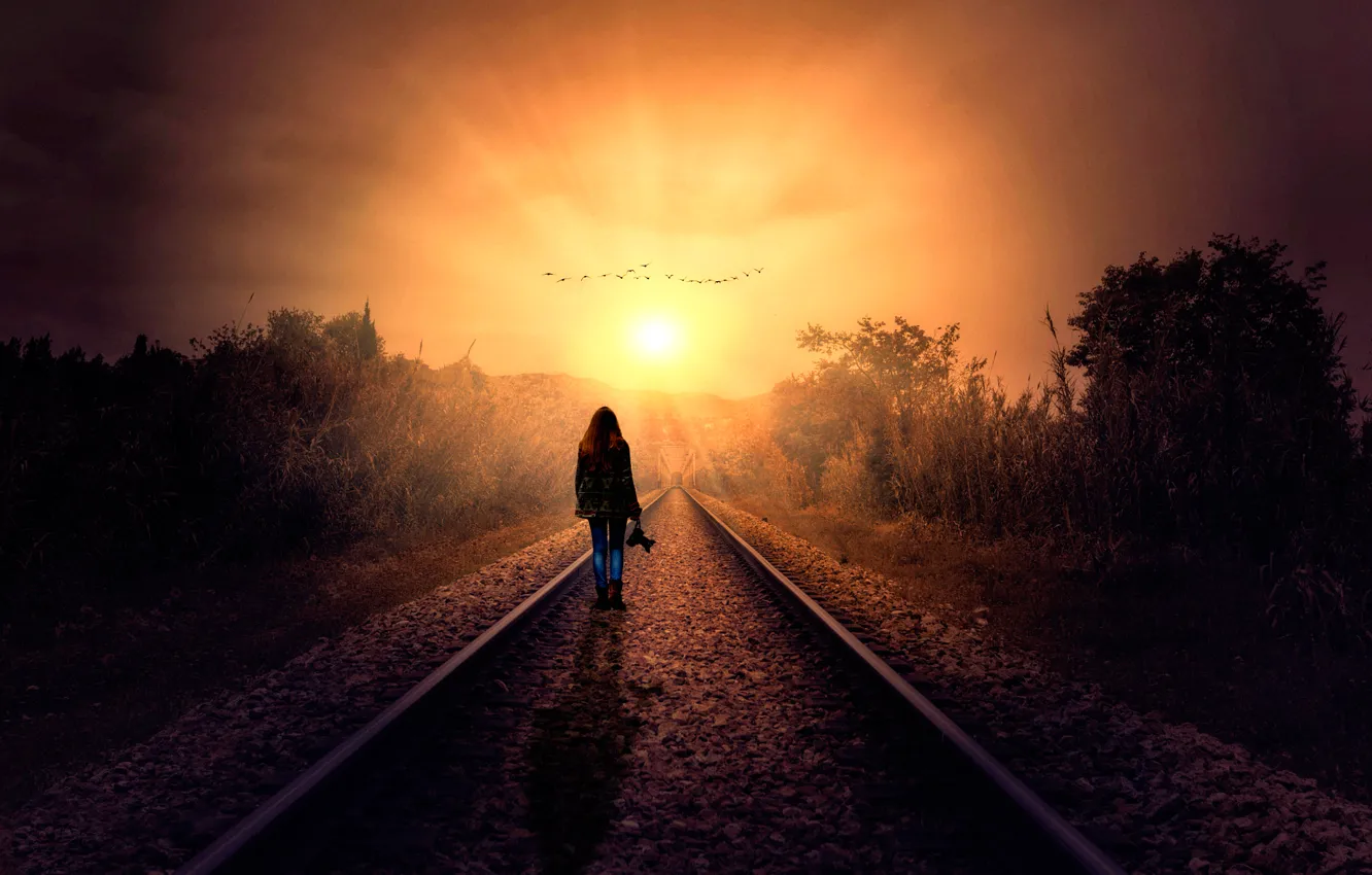 Photo wallpaper girl, the sun, the way