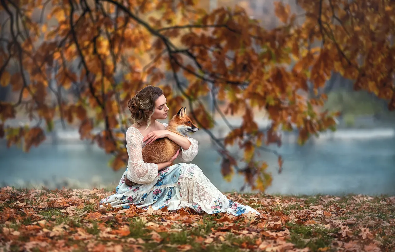 Photo wallpaper autumn, girl, branches, nature, animal, foliage, Fox, pond