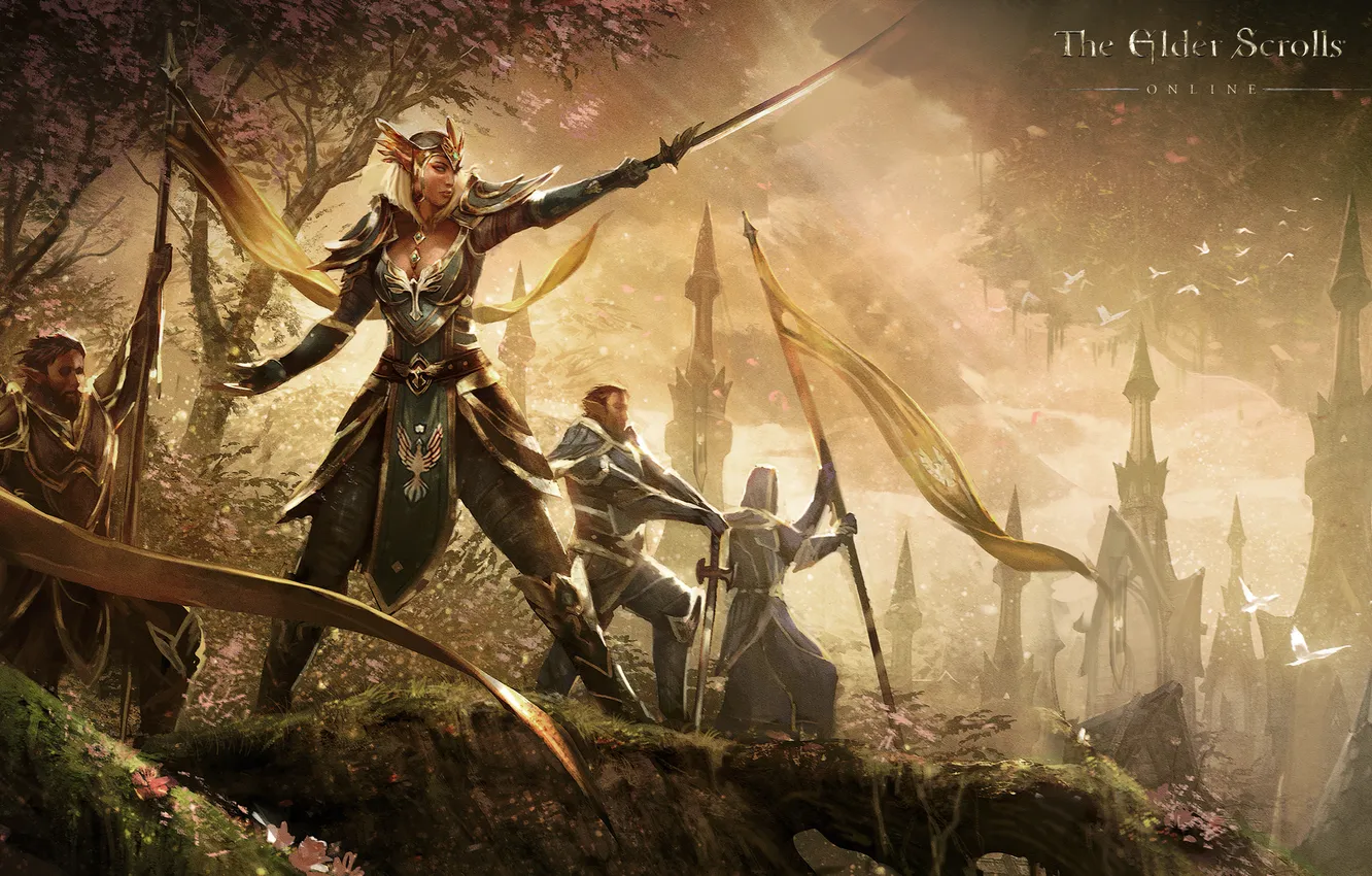 Photo wallpaper Online, Queen, The Elder Scrolls, elfy, Ayrenn