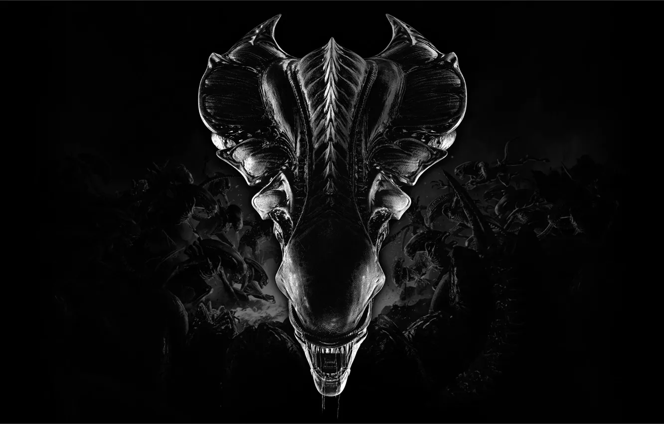 Photo wallpaper aliens, Cold Iron Studios, Fireteam Elite, Aliens: Fireteam Elite