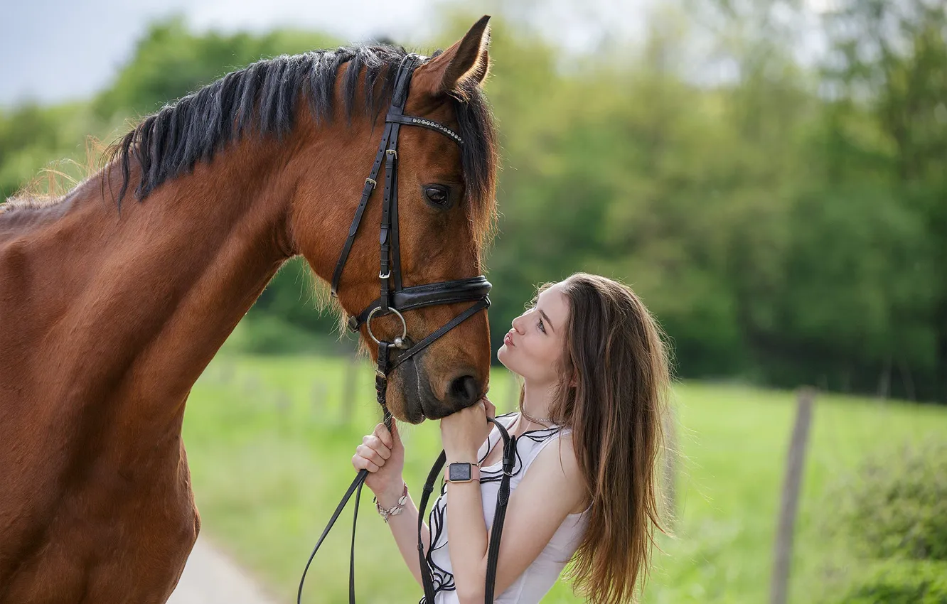 Photo wallpaper girl, horse, friends