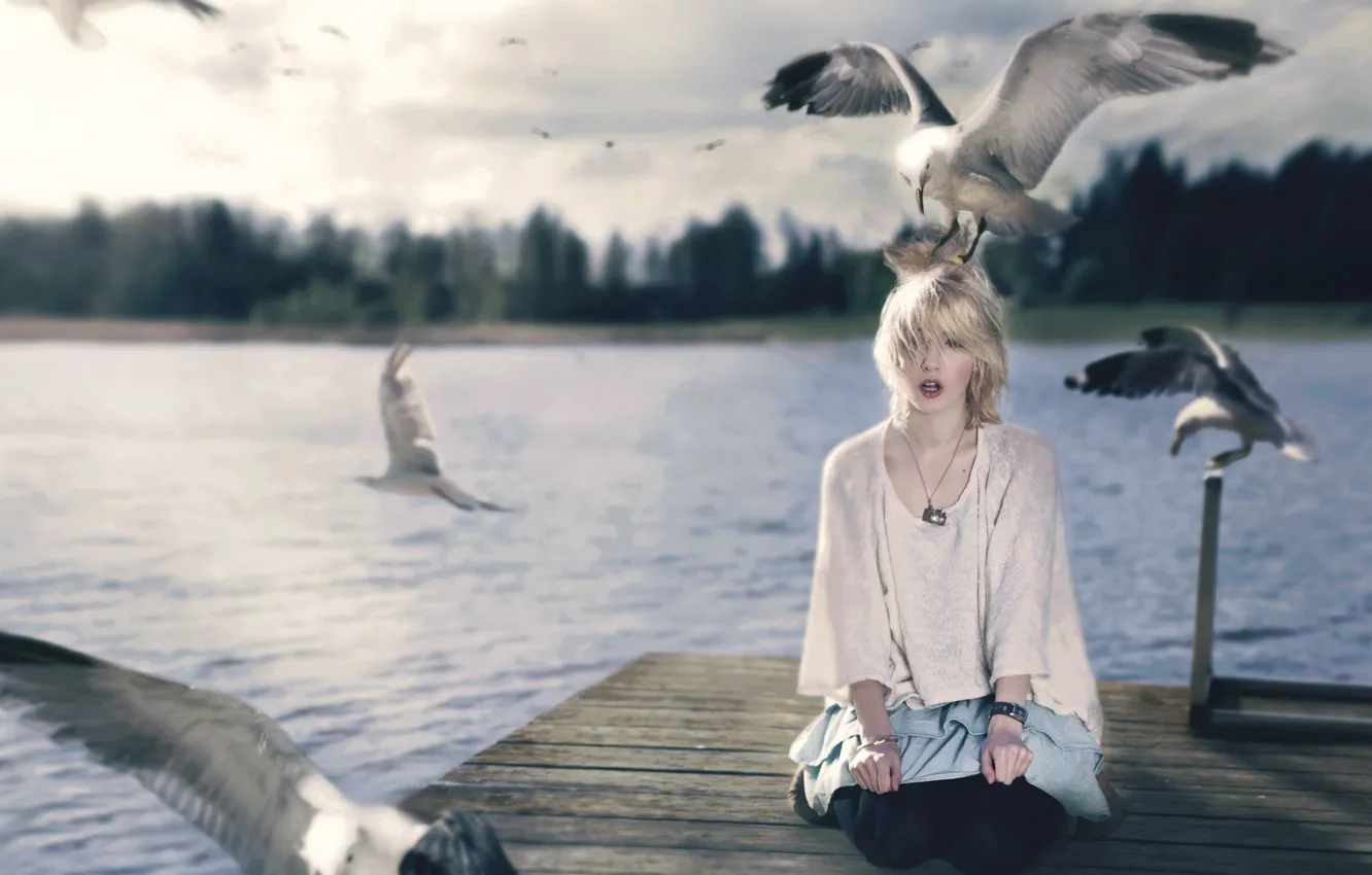 Photo wallpaper girl, birds, style, the situation