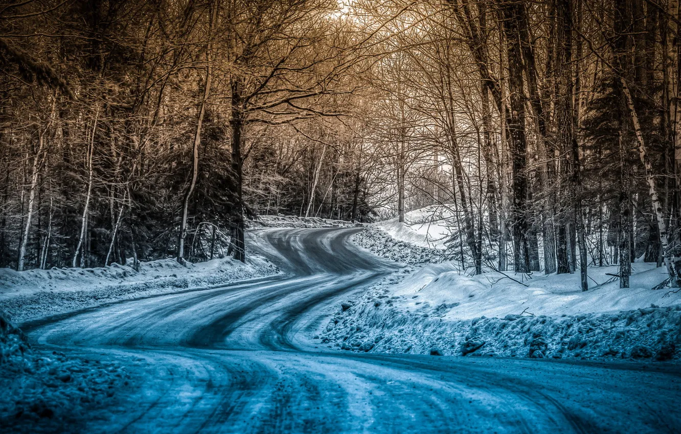 Photo wallpaper winter, road, forest, landscape