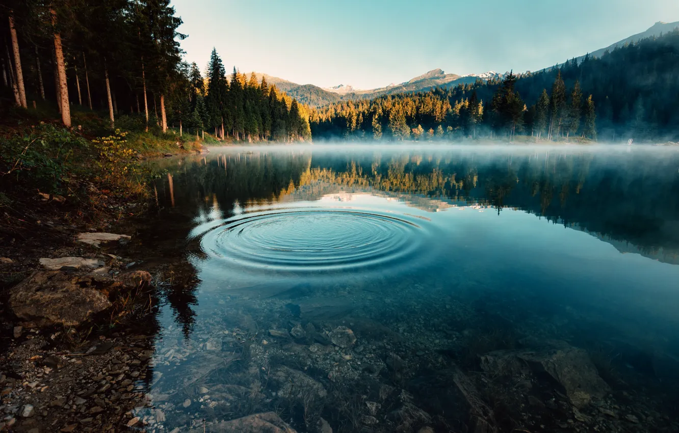 Photo wallpaper wave, forest, the sky, mountains, nature, fog, lake, morning