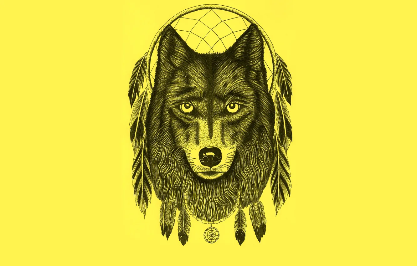 Photo wallpaper wolf, minimalism, feathers, light background, wolf, Dreamcatcher, Dreamcatcher, dream catcher
