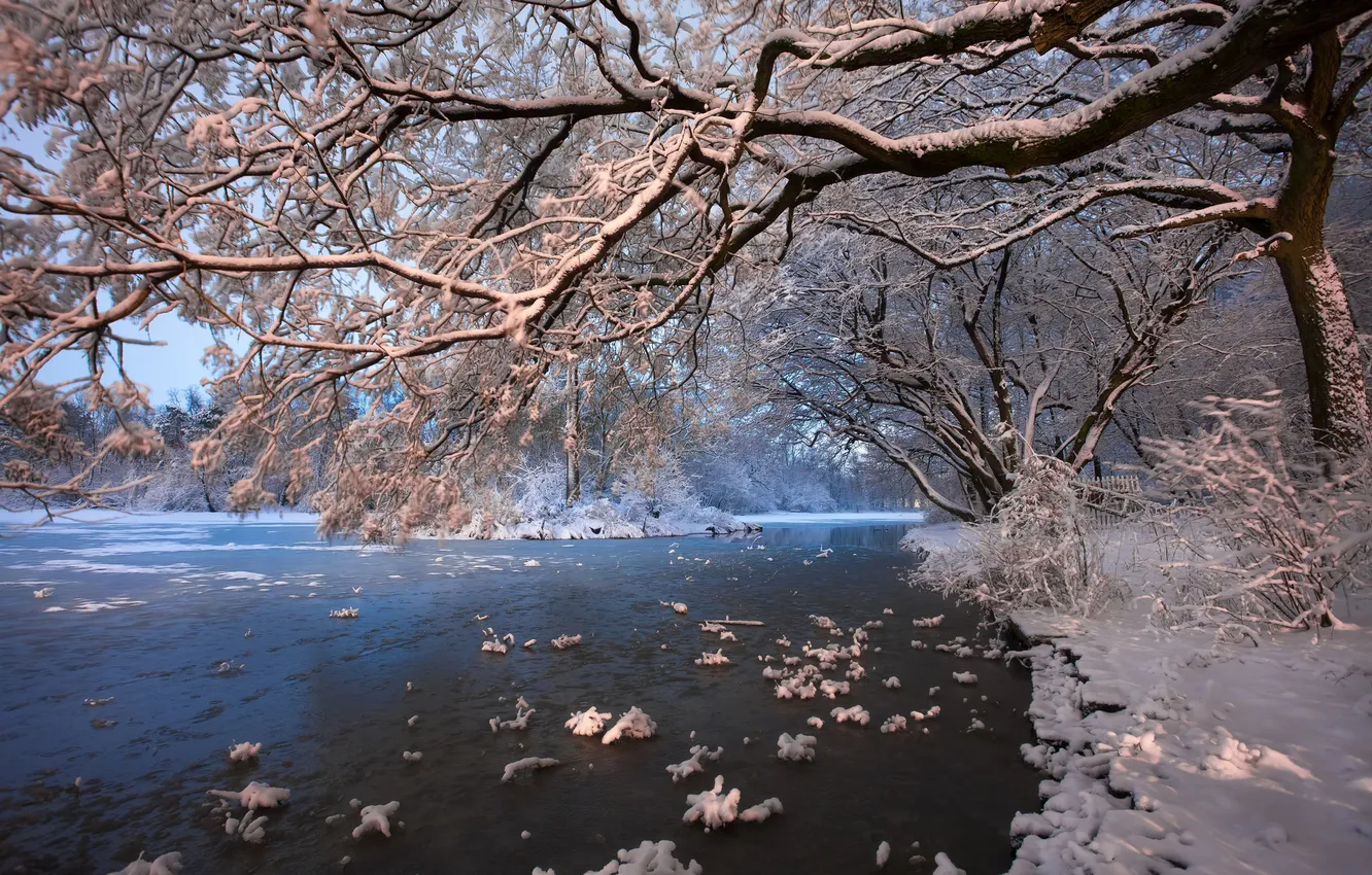 Photo wallpaper snow, trees, river