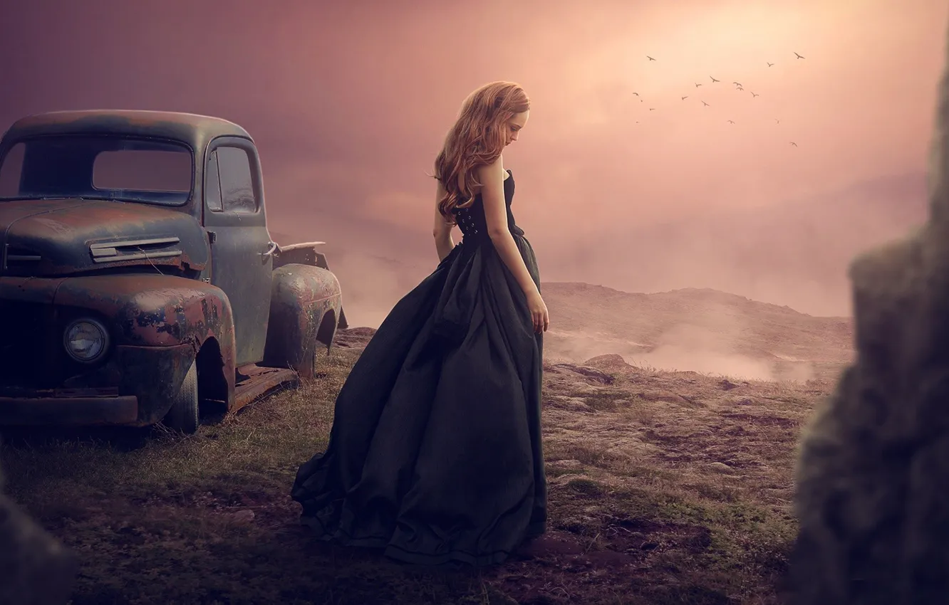 Photo wallpaper girl, bird, dress, car