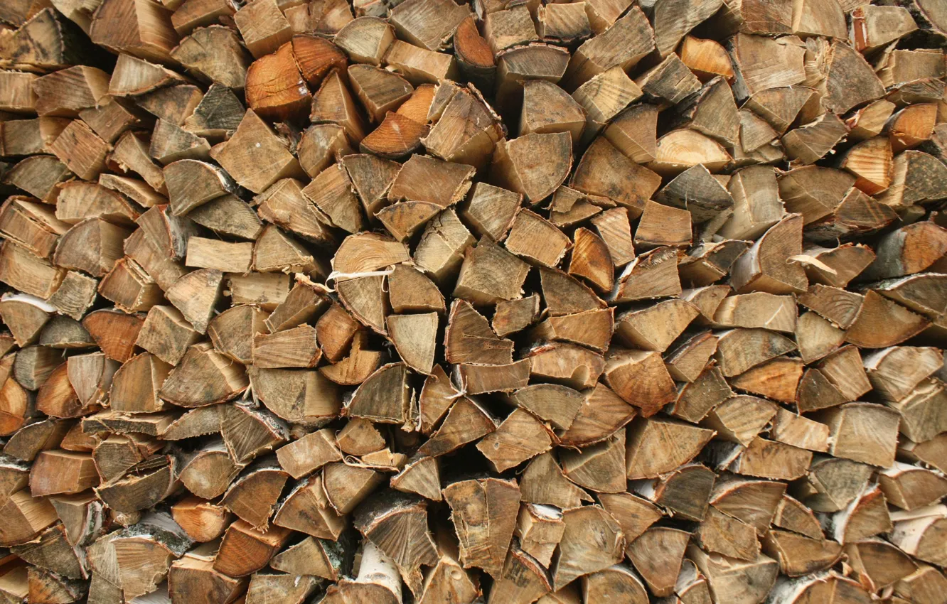 Photo wallpaper tree, wood, birch
