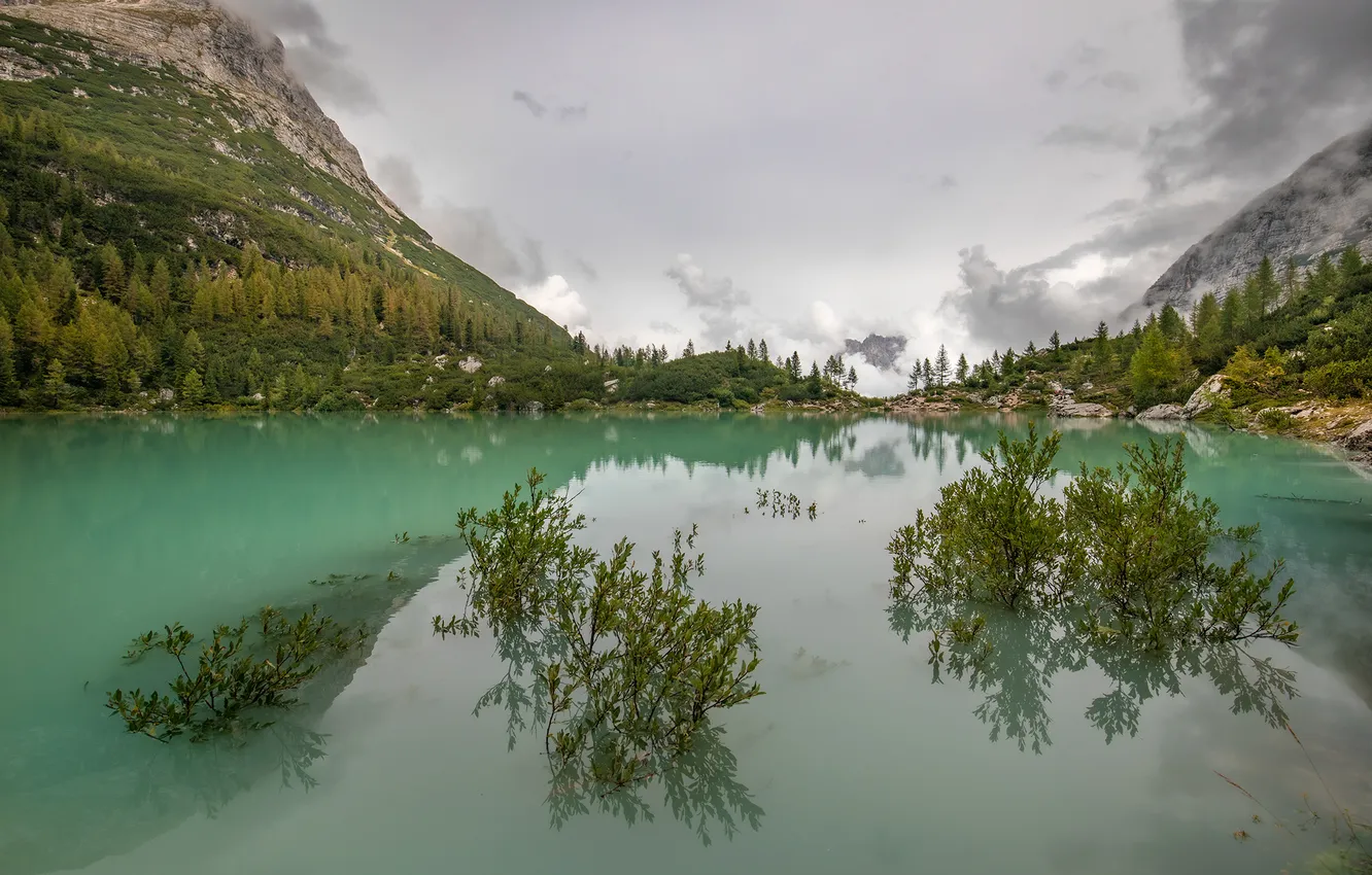 Photo wallpaper mountains, lake, shrub