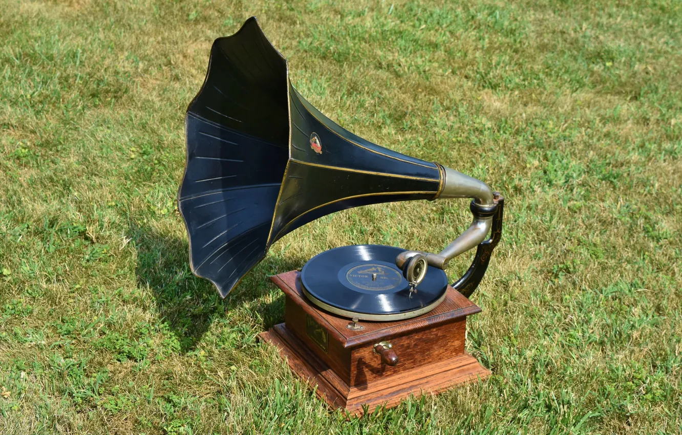 Photo wallpaper grass, record, gramophone