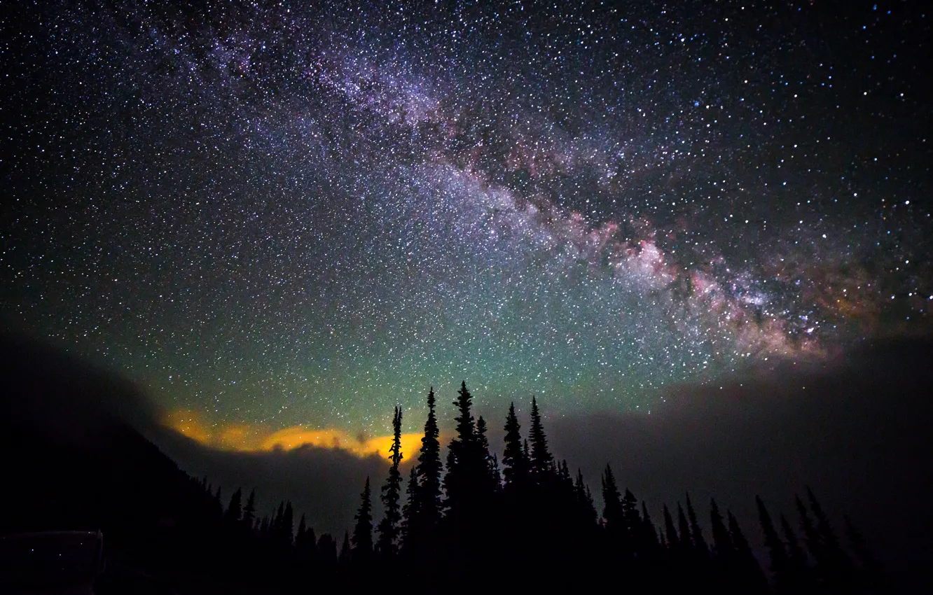 Photo wallpaper the sky, space, stars, trees, night, space, the milky way
