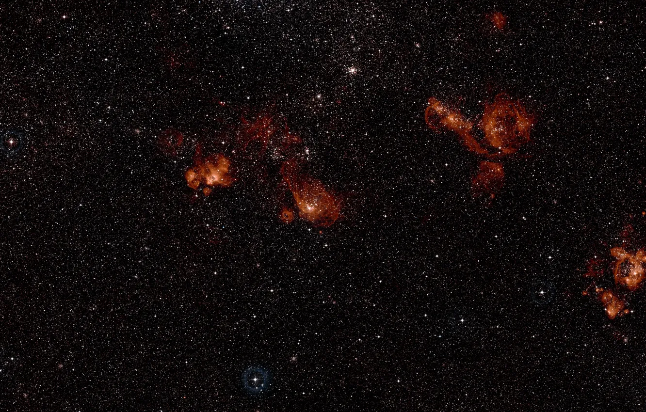 Photo wallpaper Stars, Nebula, The Swordfish, Digitized Sky Survey 2, NGC 2035, Constellation of Dorado