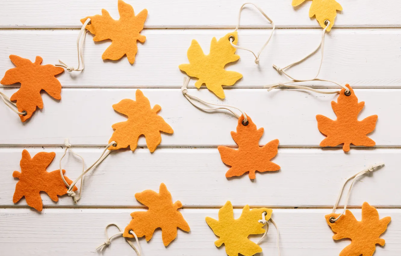 Photo wallpaper autumn, leaves, trees, background, colorful, wood, background, autumn