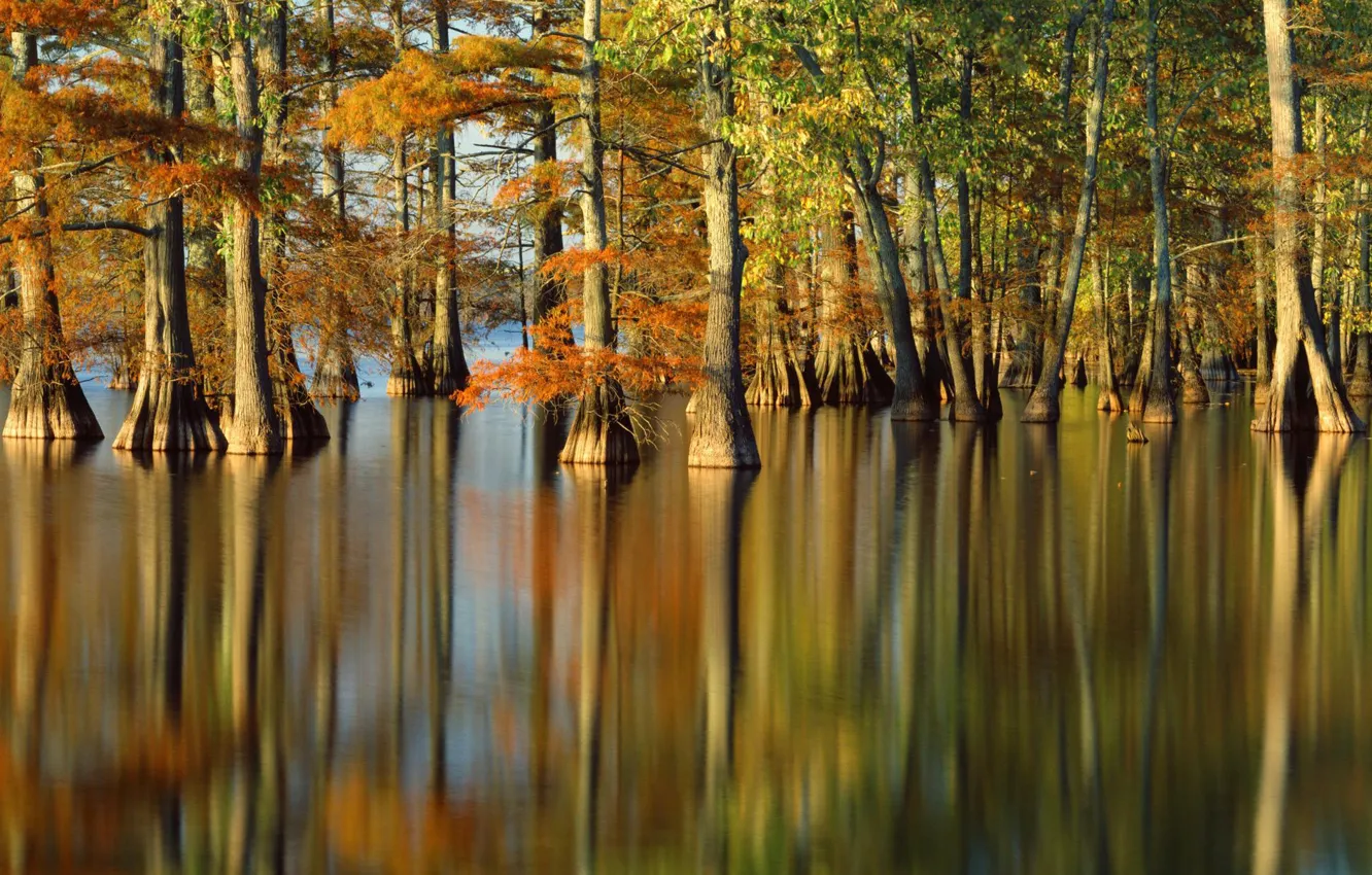 Photo wallpaper autumn, water, trees, nature, river, photo