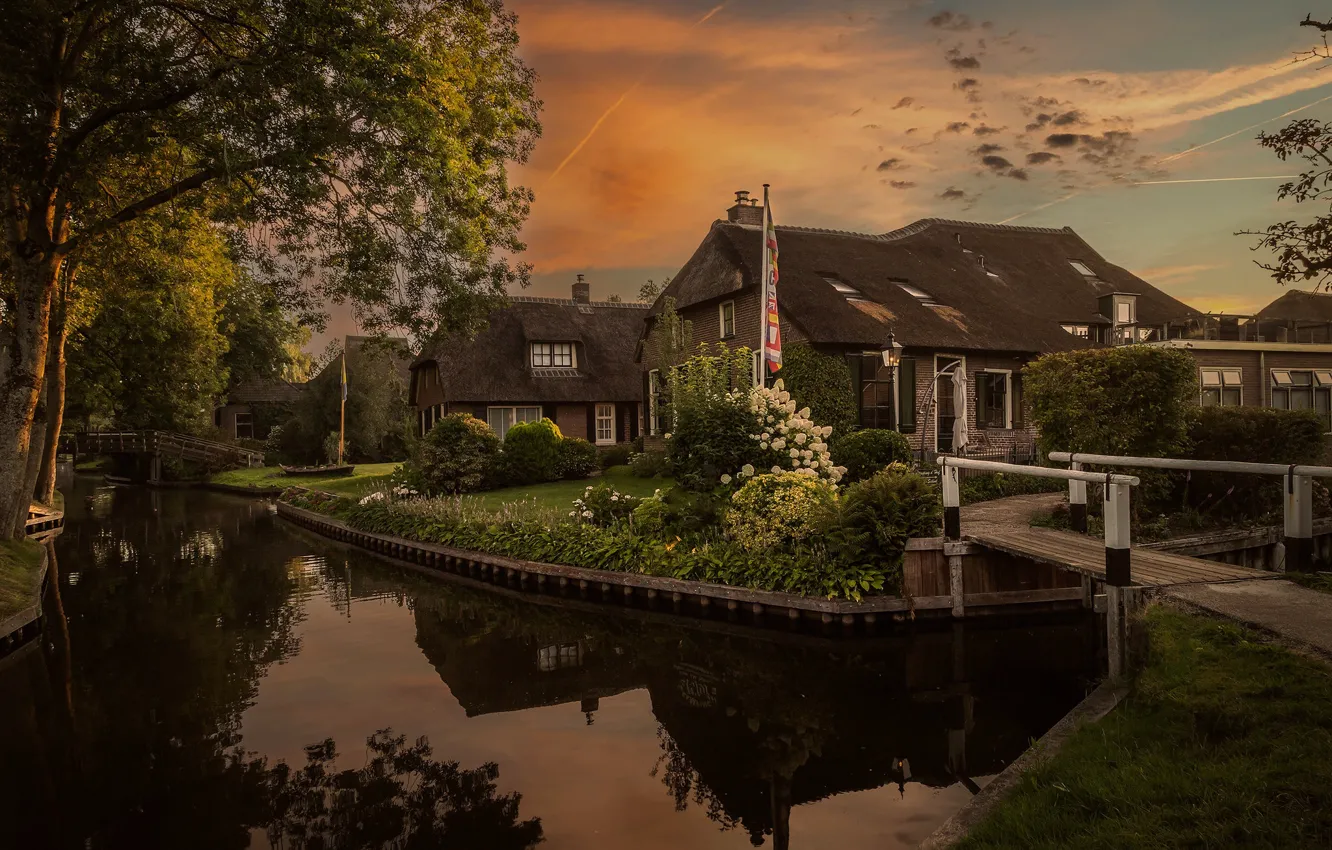 Photo wallpaper summer, the sky, clouds, trees, landscape, sunset, flowers, branches