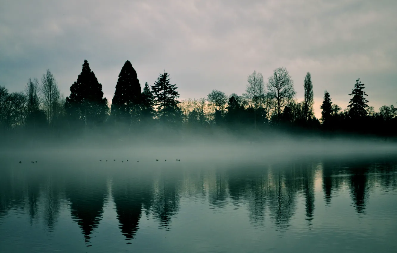 Photo wallpaper the sky, trees, nature, fog, river, dawn, haze, early in the morning