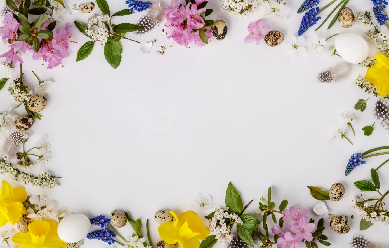 Photo wallpaper flowers, background, eggs, spring, frame, colorful, Easter, flowers
