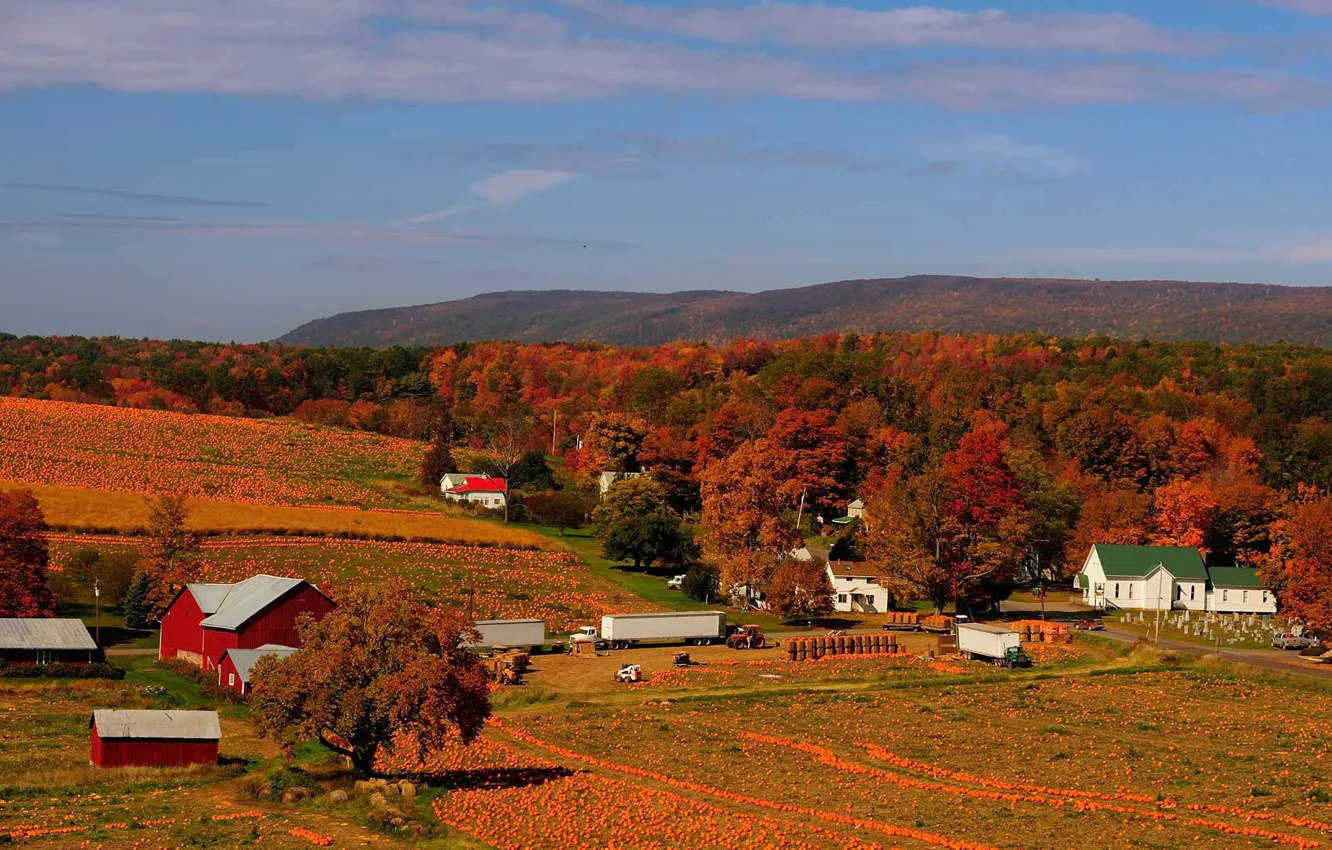 Photo wallpaper autumn, harvest, pumpkin, USA, PA