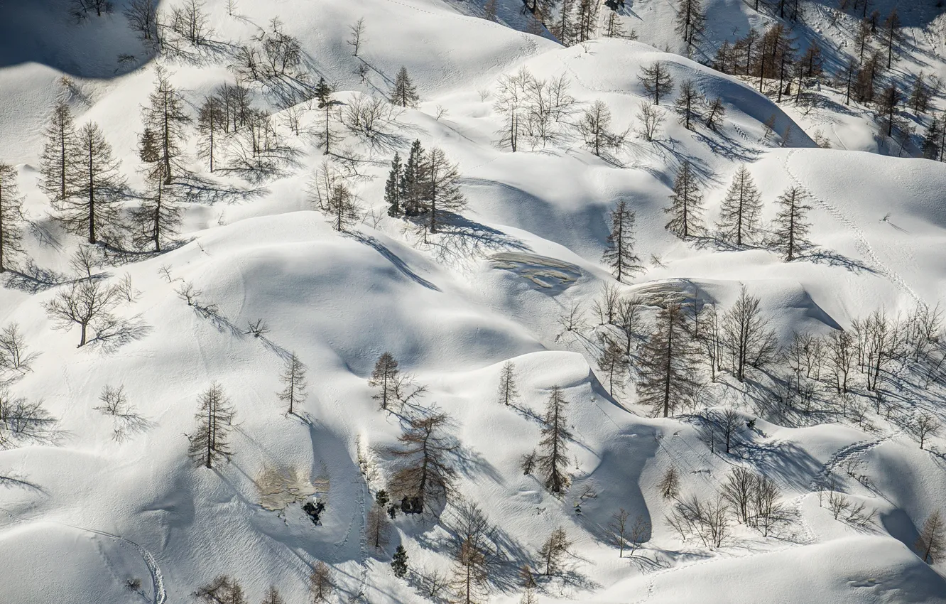 Photo wallpaper winter, the sun, snow, trees, landscape, the area, the snow, the view from the top