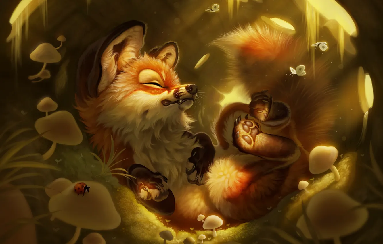 Photo wallpaper butterfly, nature, animal, mushrooms, Fox, illustration, Fox, digital art