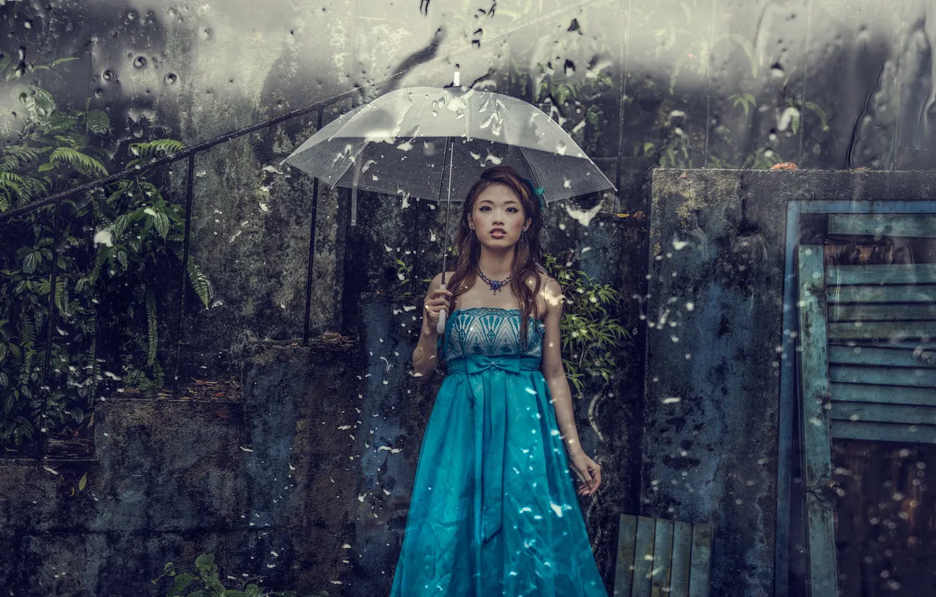 Photo wallpaper girl, rain, umbrella, Asian