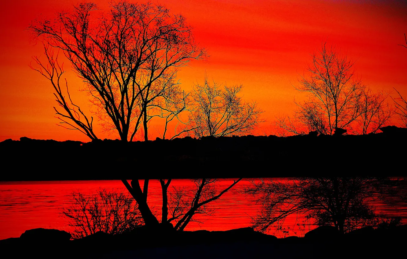 Photo wallpaper the sky, trees, sunset, nature, river, glow