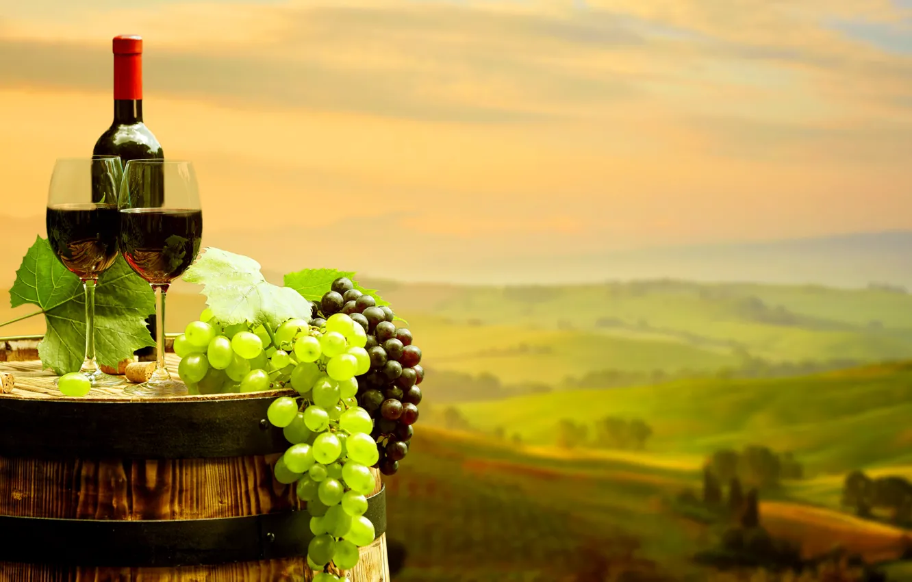 Photo wallpaper leaves, landscape, background, wine, red, field, bottle, glasses