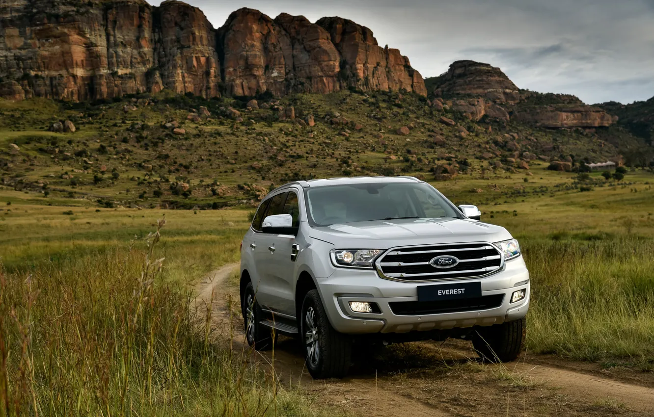 Photo wallpaper field, vegetation, Ford, Everest, 4WD, XLT, 2019