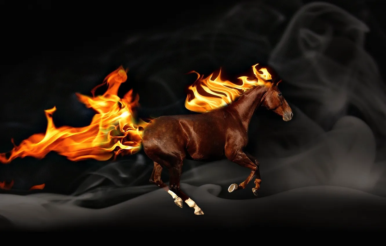 Photo wallpaper fire, mane, Horse, tail, Comput.graphics