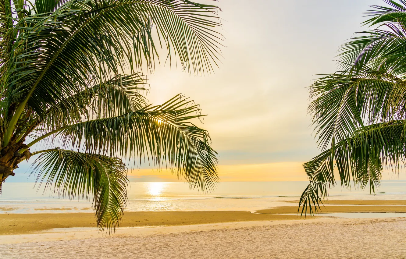 Photo wallpaper sand, sea, the sky, water, the sun, sunset, palm trees, the evening