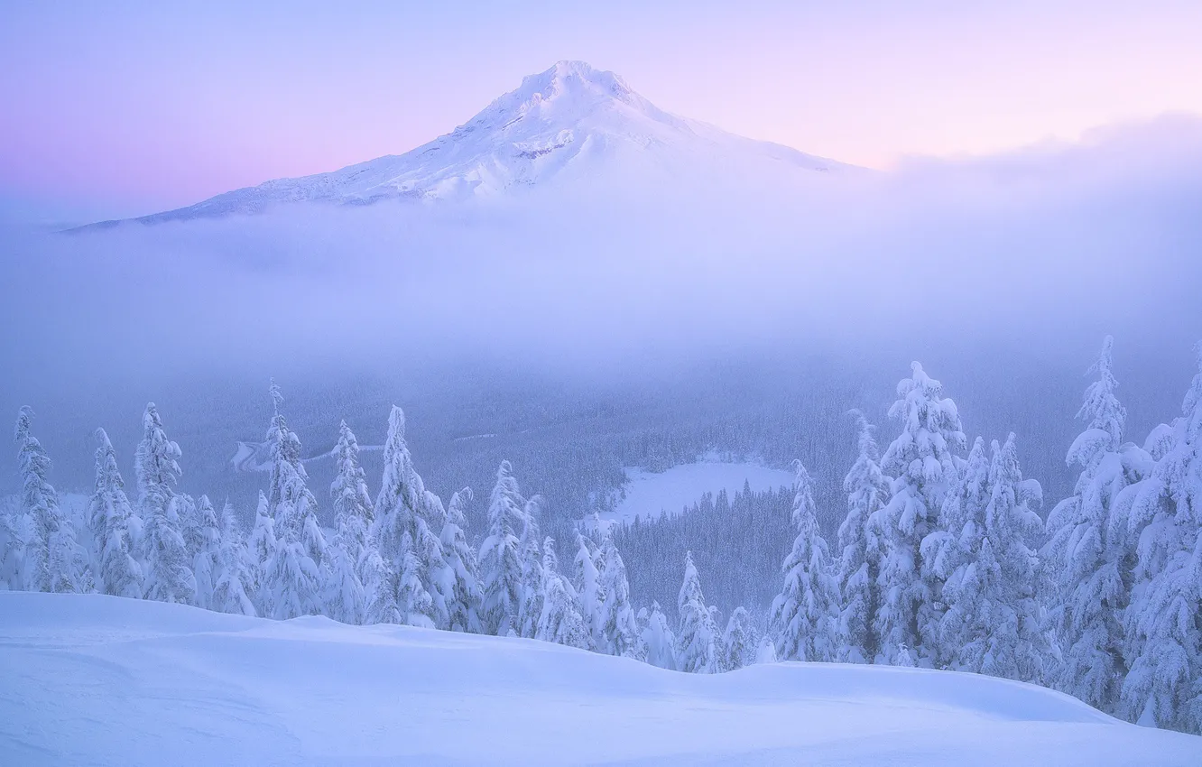 Photo wallpaper winter, forest, snow, dawn, mountain, morning, ate, Oregon