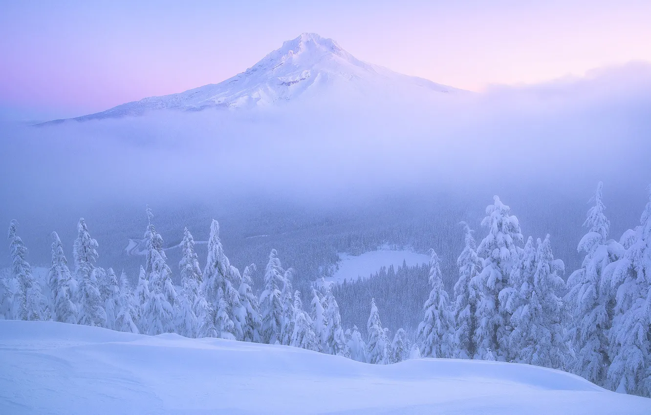 Photo wallpaper winter, forest, snow, mountains, dawn, morning, ate, Oregon