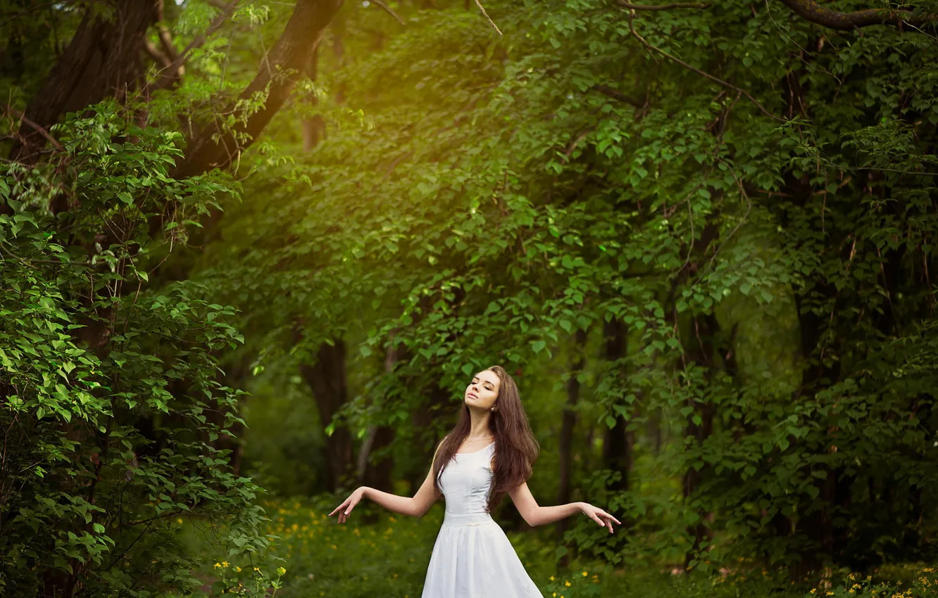 Photo wallpaper forest, girl, nature