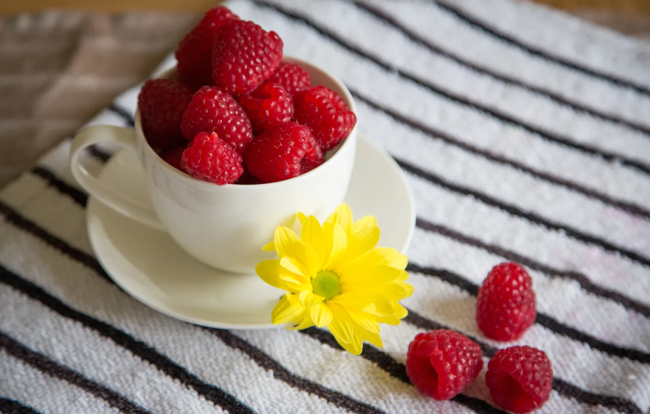 Photo wallpaper flowers, yellow, berries, raspberry, Cup, saucer