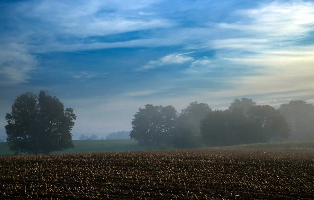 Photo wallpaper field, landscape, fog
