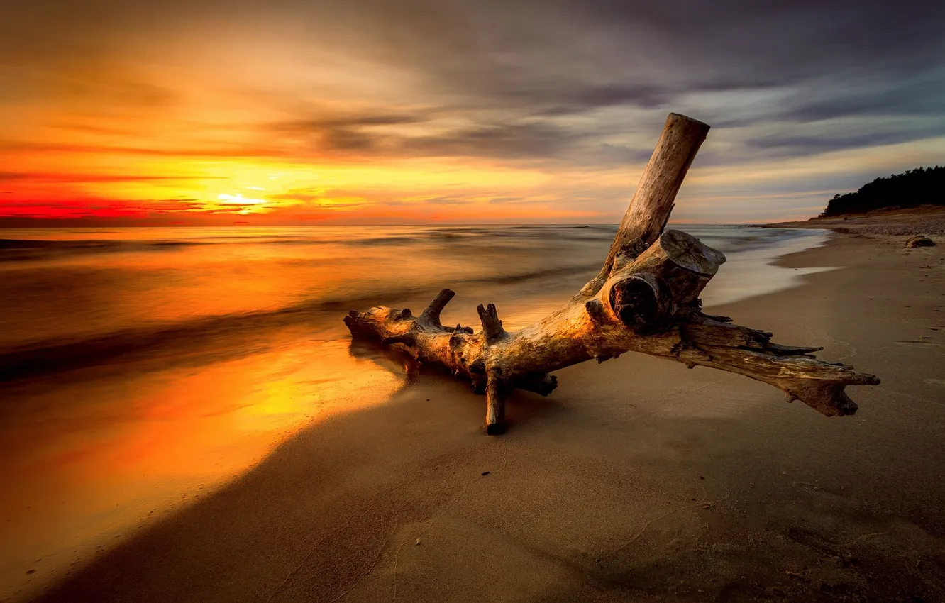 Photo wallpaper sea, the sky, clouds, landscape, sunset, nature