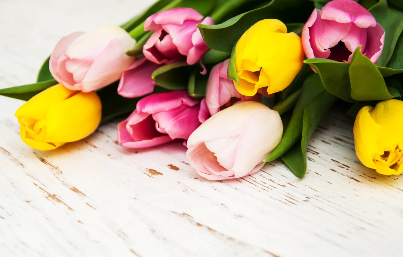 Photo wallpaper flowers, bouquet, colorful, tulips, flowers, tulips