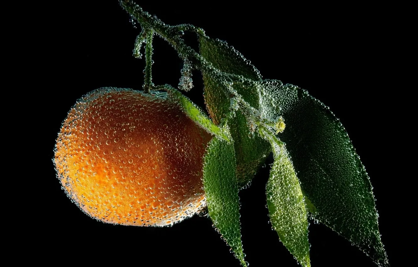 Photo wallpaper fruit, peach, Capri dew