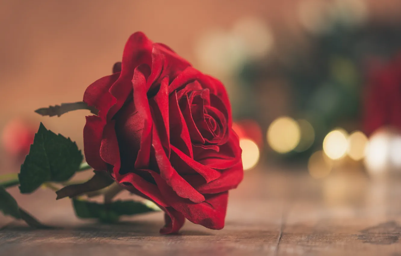 Photo wallpaper flowers, red, Board, roses, bokeh, artificial